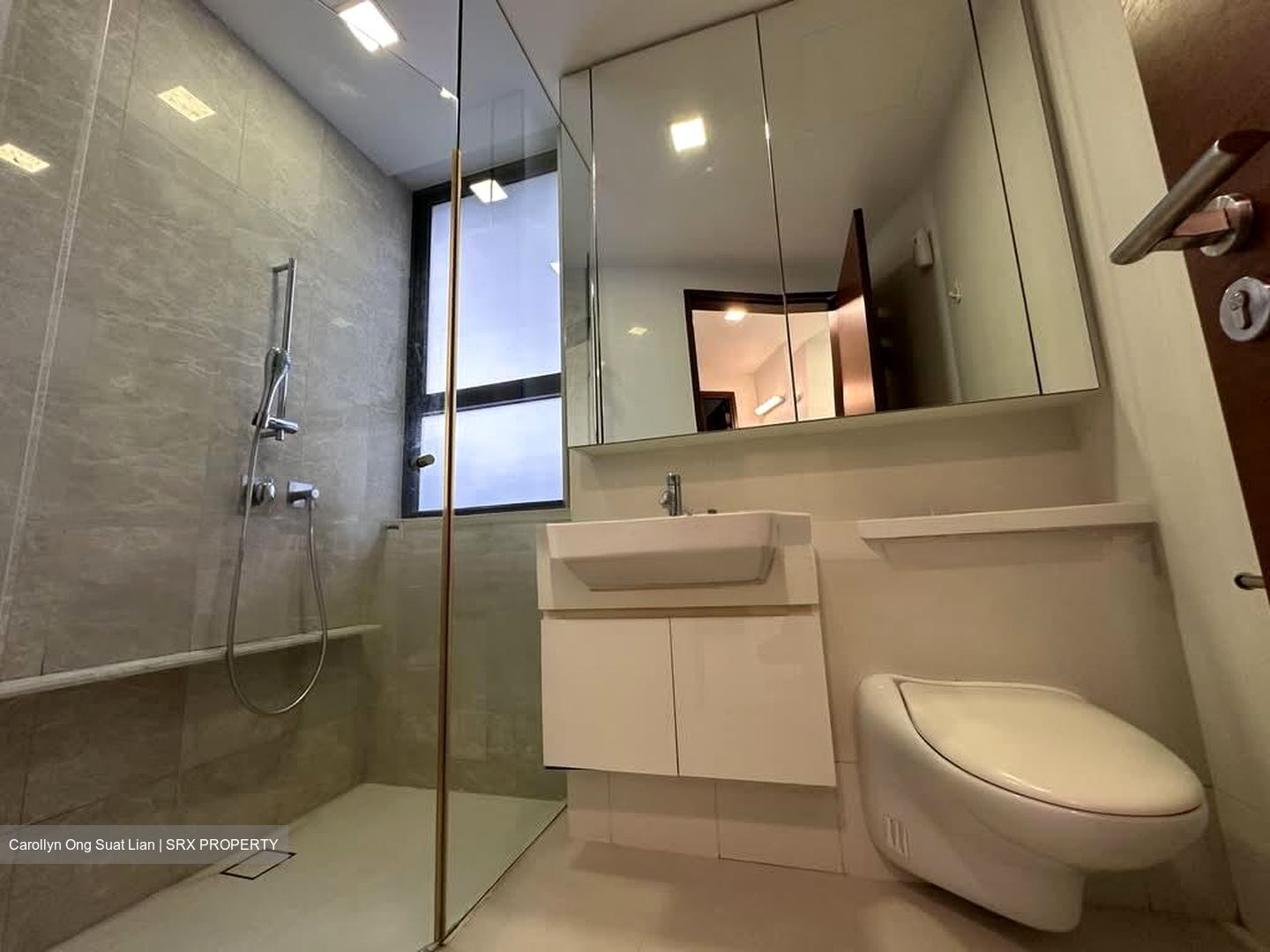 D'Leedon (D10), Condominium #597298051